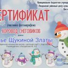 Сертификат Хоровод снеговиков.jpg